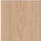Muestra Roble Blanqueado, Florida, Chapa de madera real