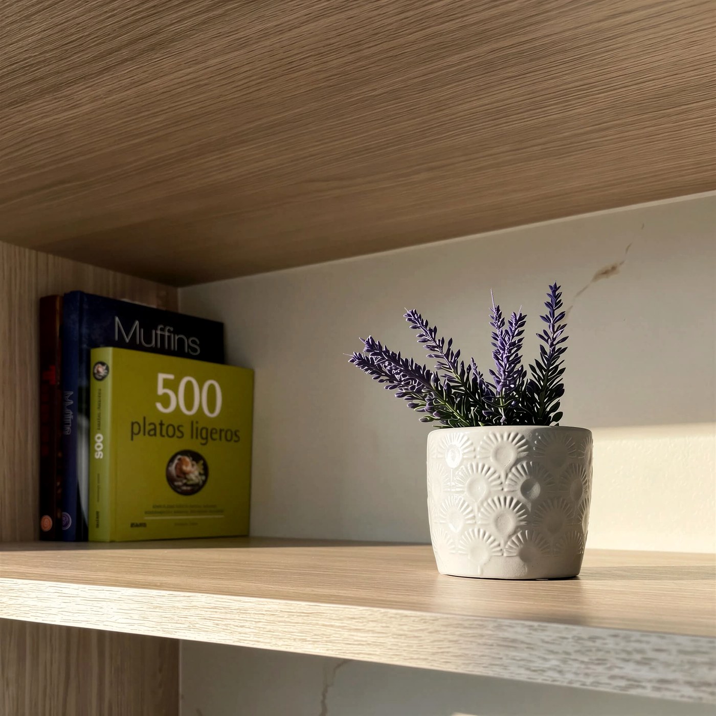 Balda de madera clara con libros y una planta bajo la luz rasante de la mañana